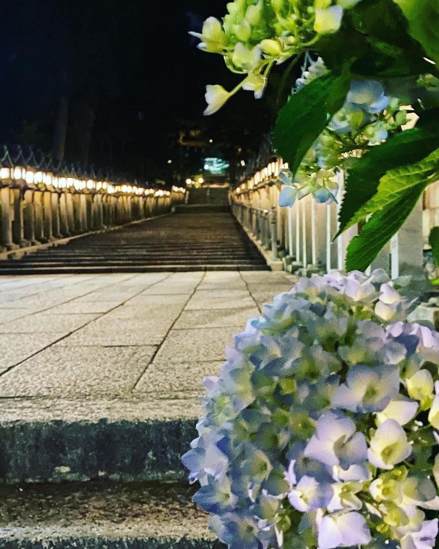 Monzen Okagero Hotel Ikoma Exterior photo